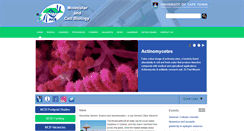 Desktop Screenshot of mcb.uct.ac.za